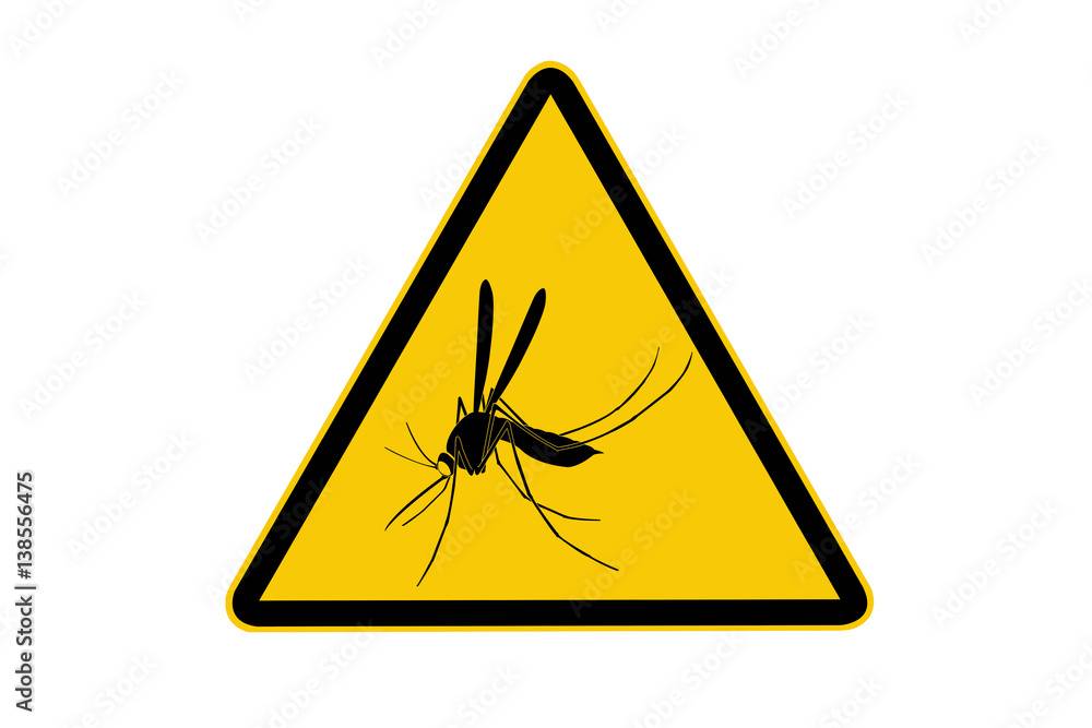 Attention les moustiques arrivent! Pensez à équiper vos fenêtres avant cet été ! 