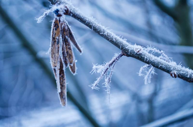 L'hiver arrive commandez vite vos fenêtres avec Eco Fenêtres